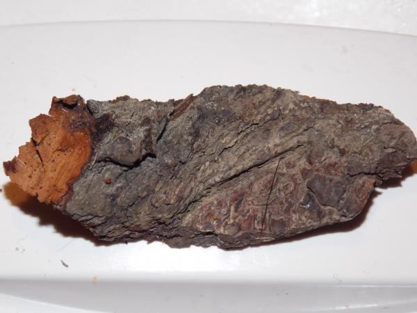 dscn4356.jpg
