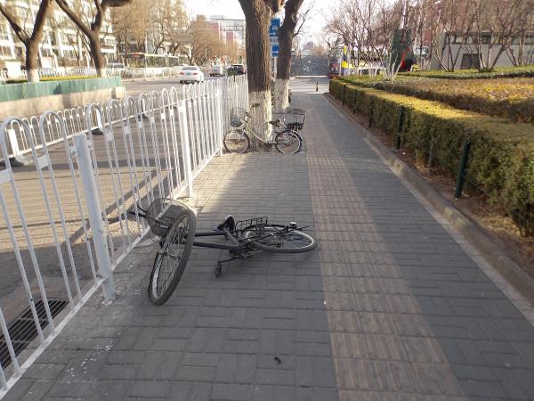 dscn4663.jpg