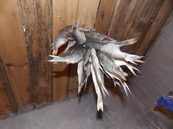 dscn5332.jpg