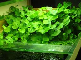 images2_107.jpg