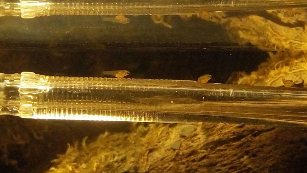 img-20161221-wa0001.jpg