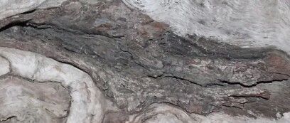 img_20150109_223838.jpg