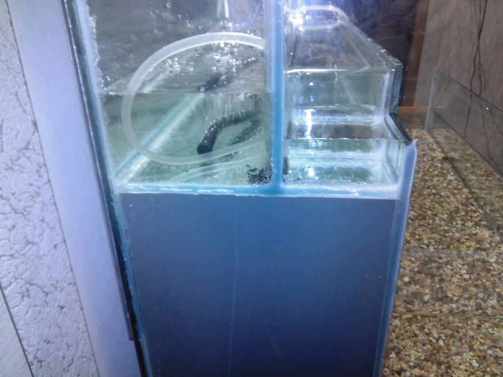 img_20161015_183749.jpg