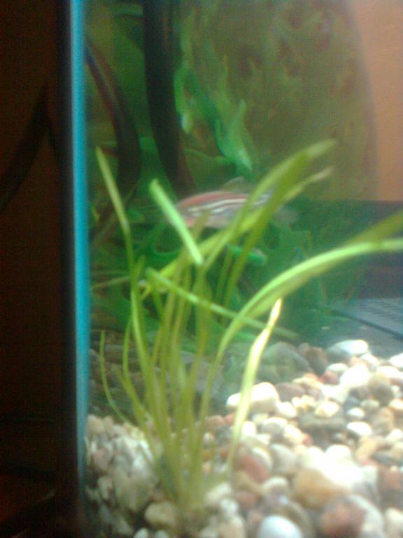foto0223.jpg