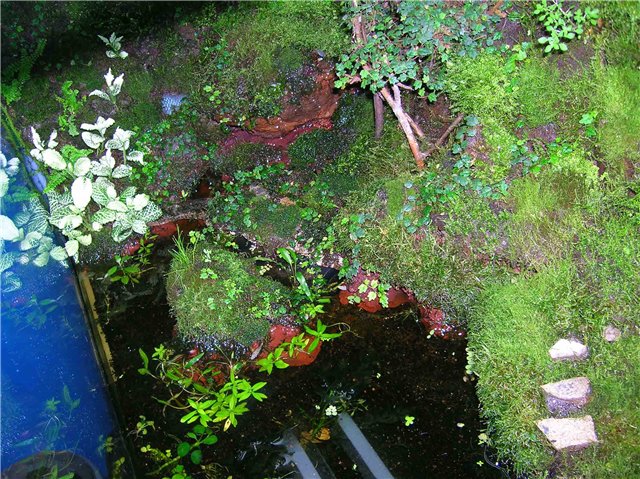 fragment1.jpg