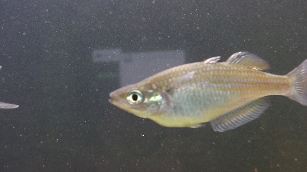 imga0139.jpg