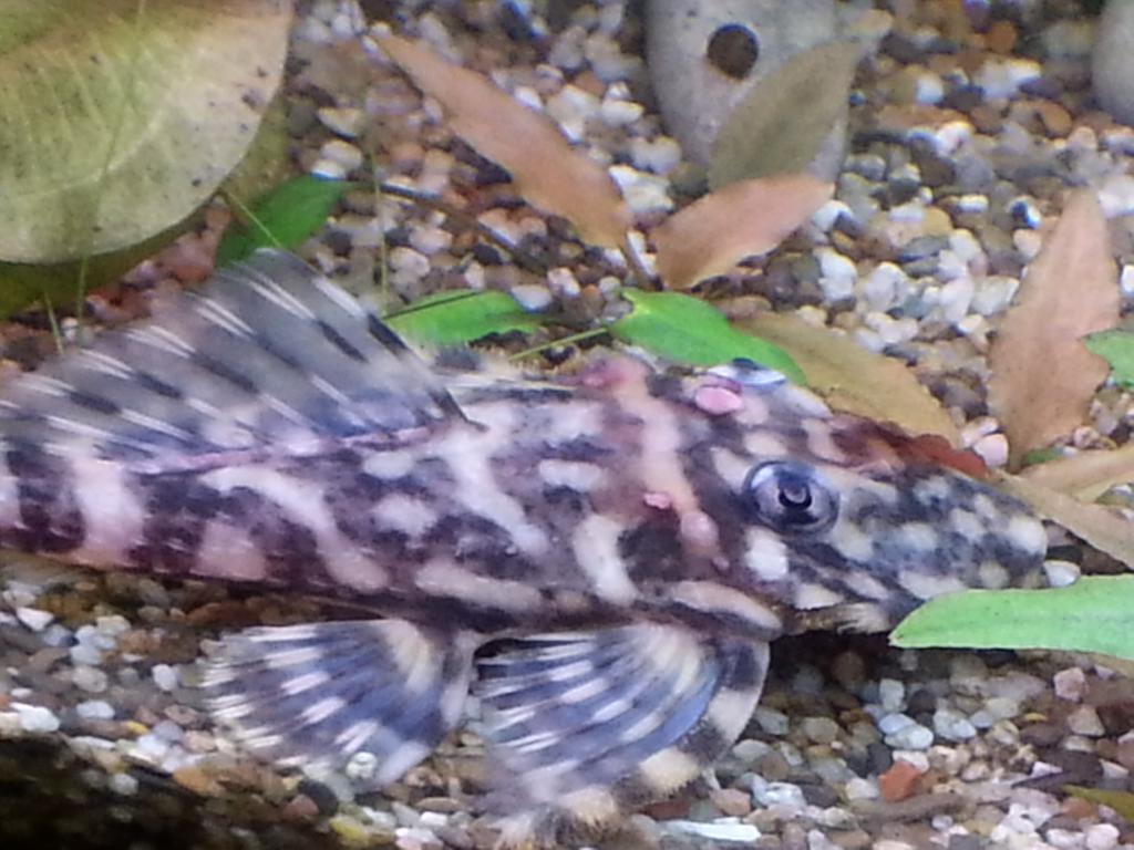 20130910_1727281.jpg