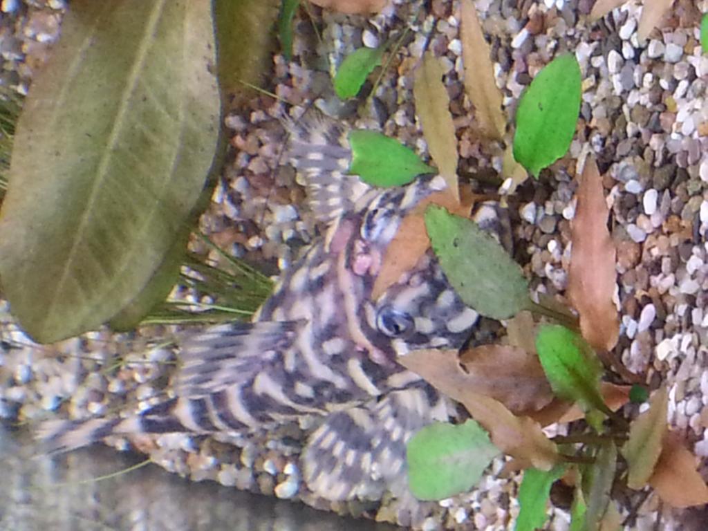 20130910_17280101.jpg