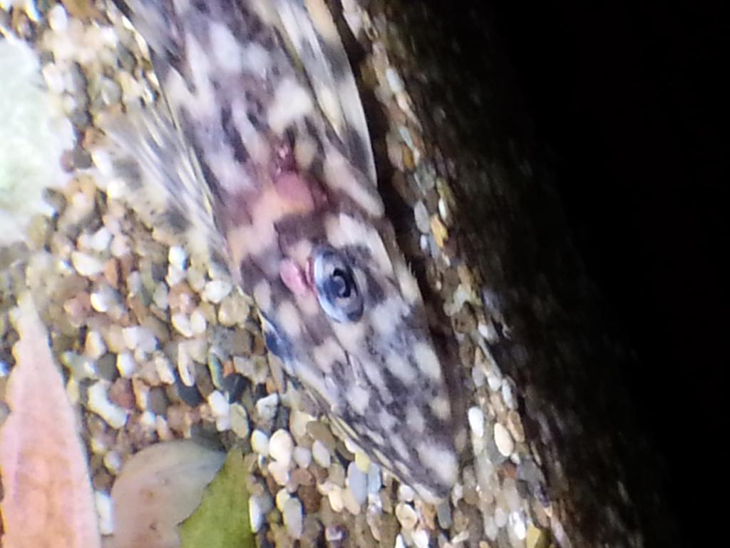 20130910_1729031.jpg