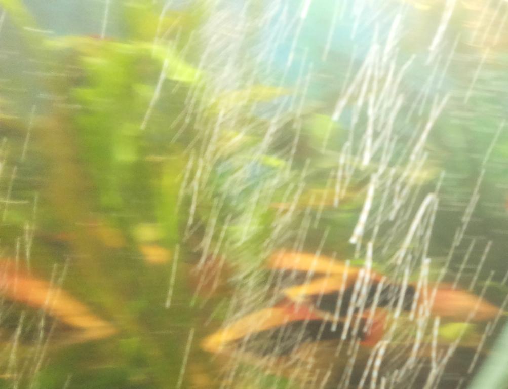 v_053.jpg