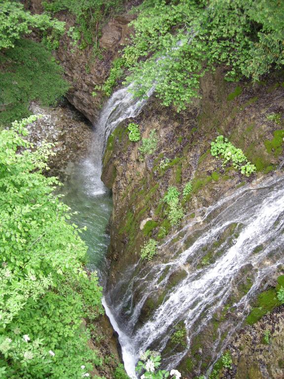 dscn2302.jpg