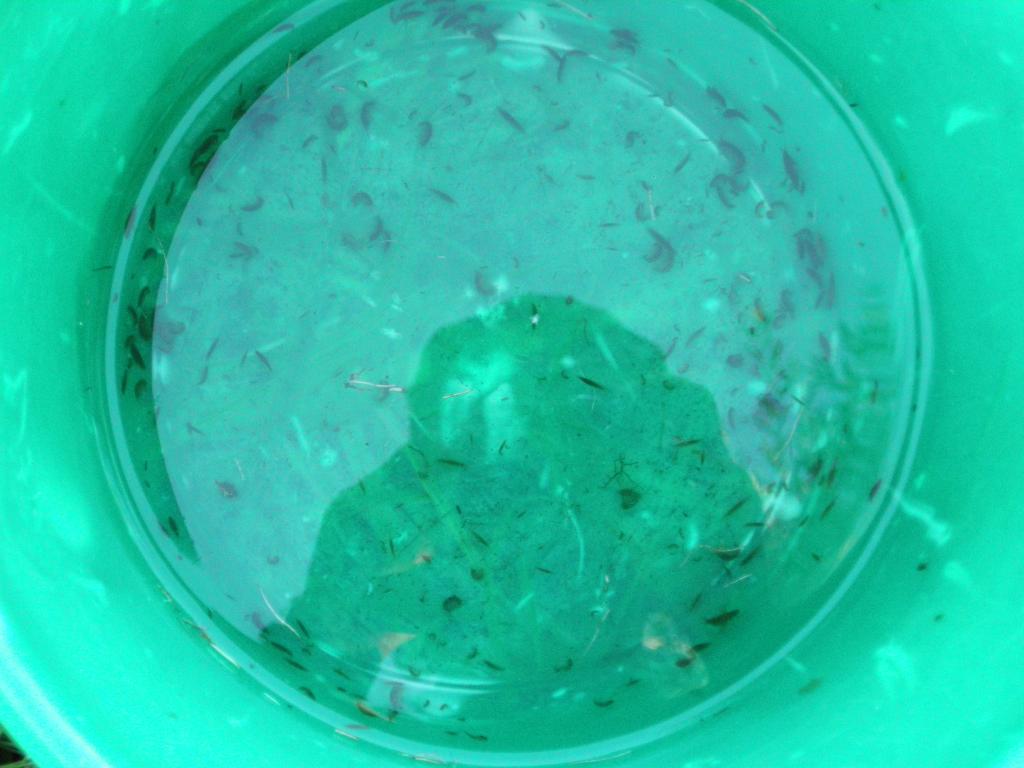 dscn2353.jpg