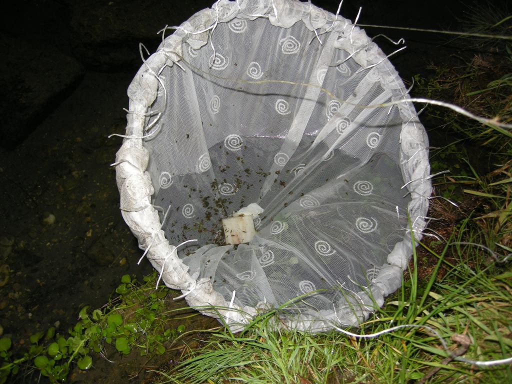 dscn2375.jpg