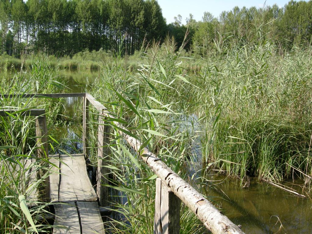 dscn2380.jpg