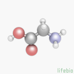 glycine.gif