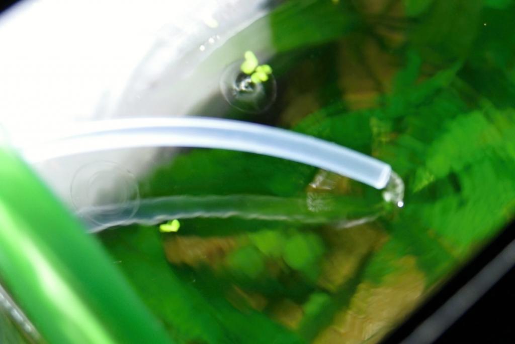 l1040344.jpg