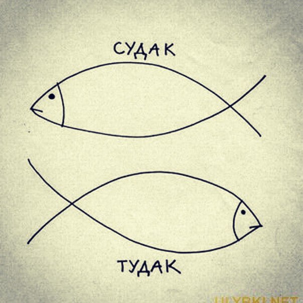 sudak.jpg