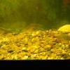 dscn0550_0.jpg