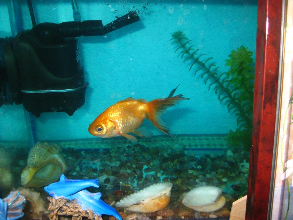 img_4455.jpg