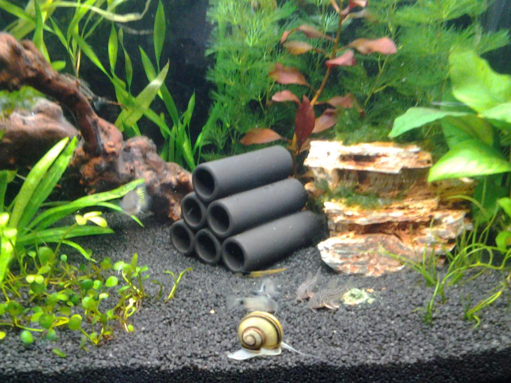 20140916_084744.jpg
