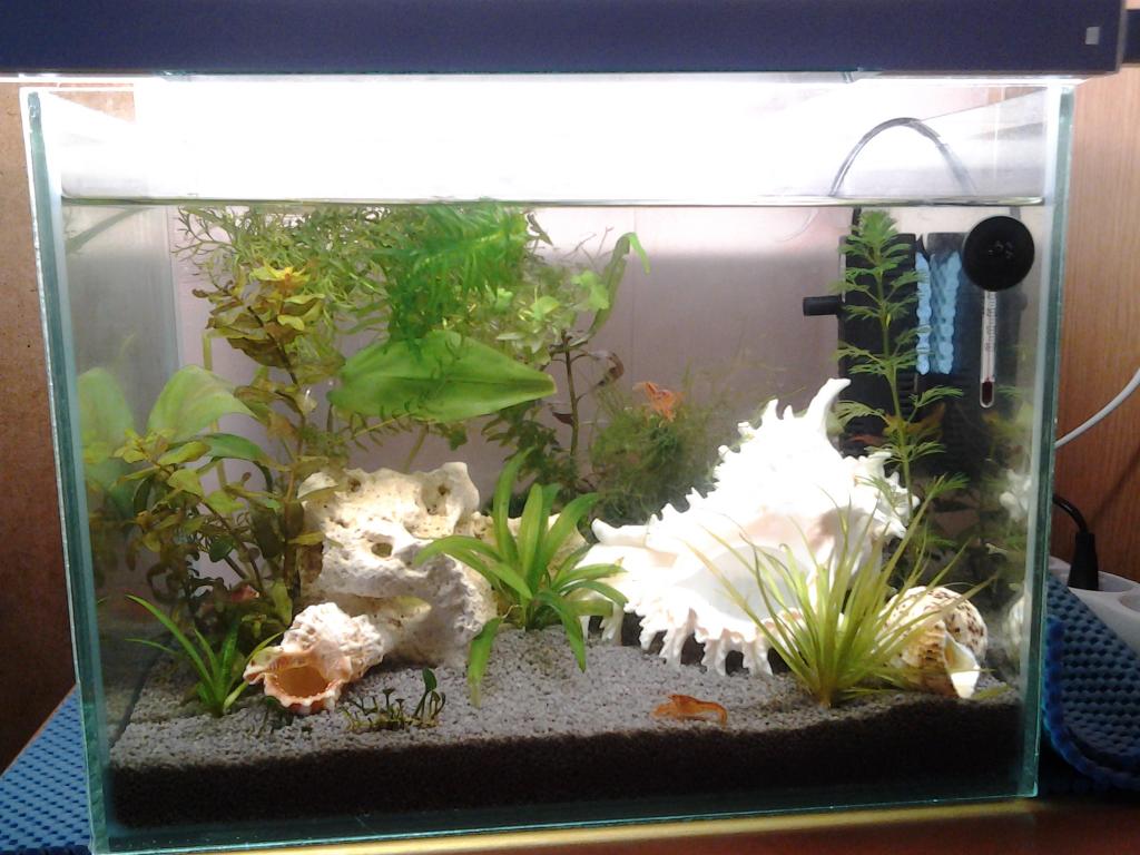20150417_184219.jpg