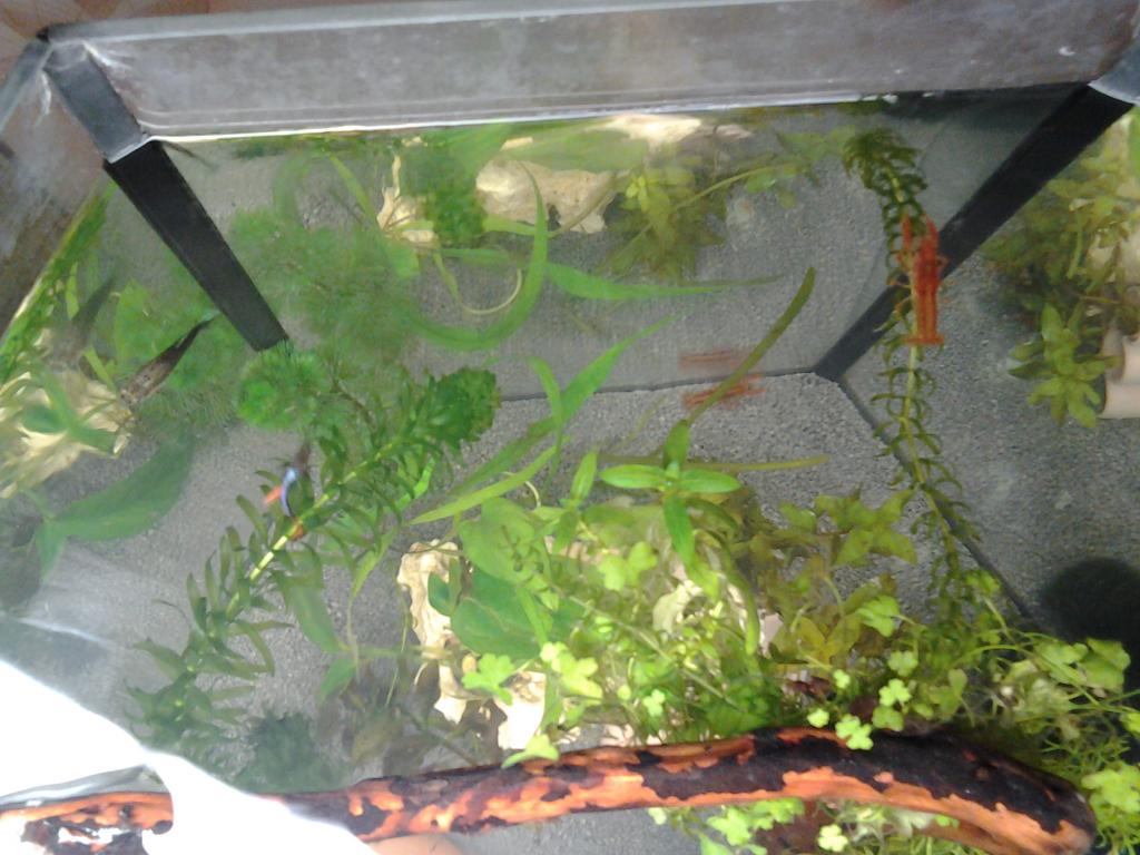 20150421_143534.jpg