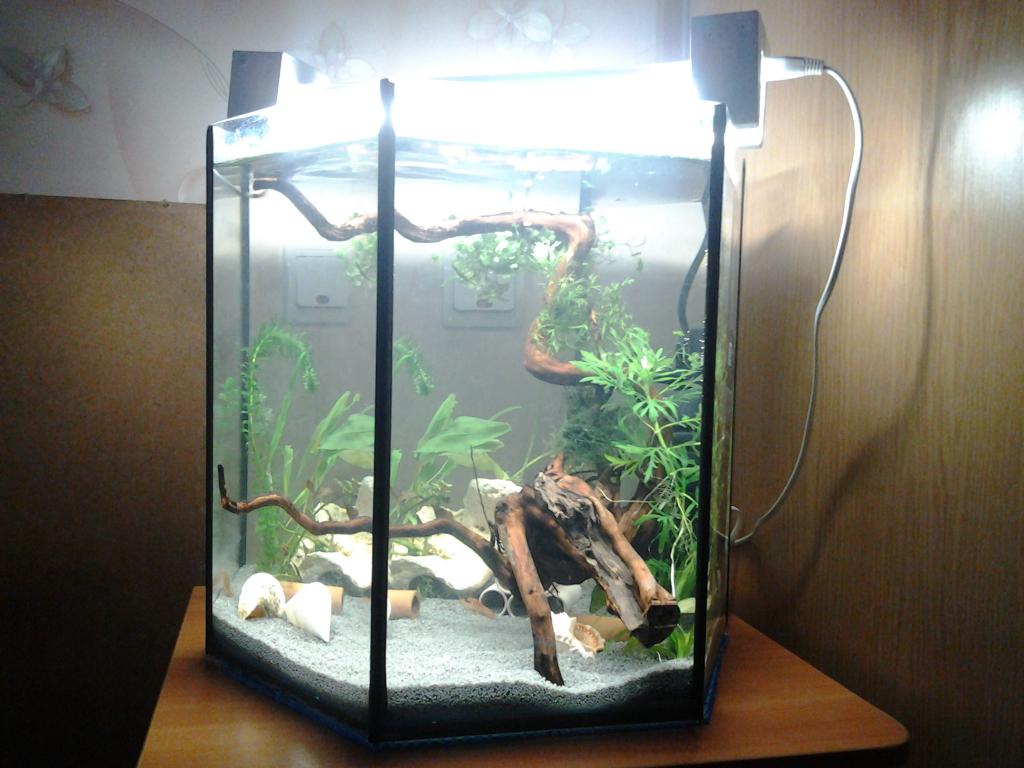 20150421_145119.jpg