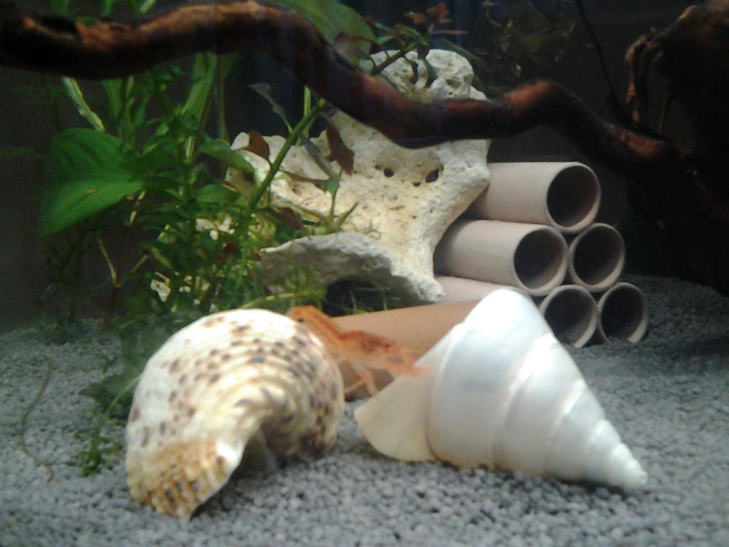 20150421_145648.jpg