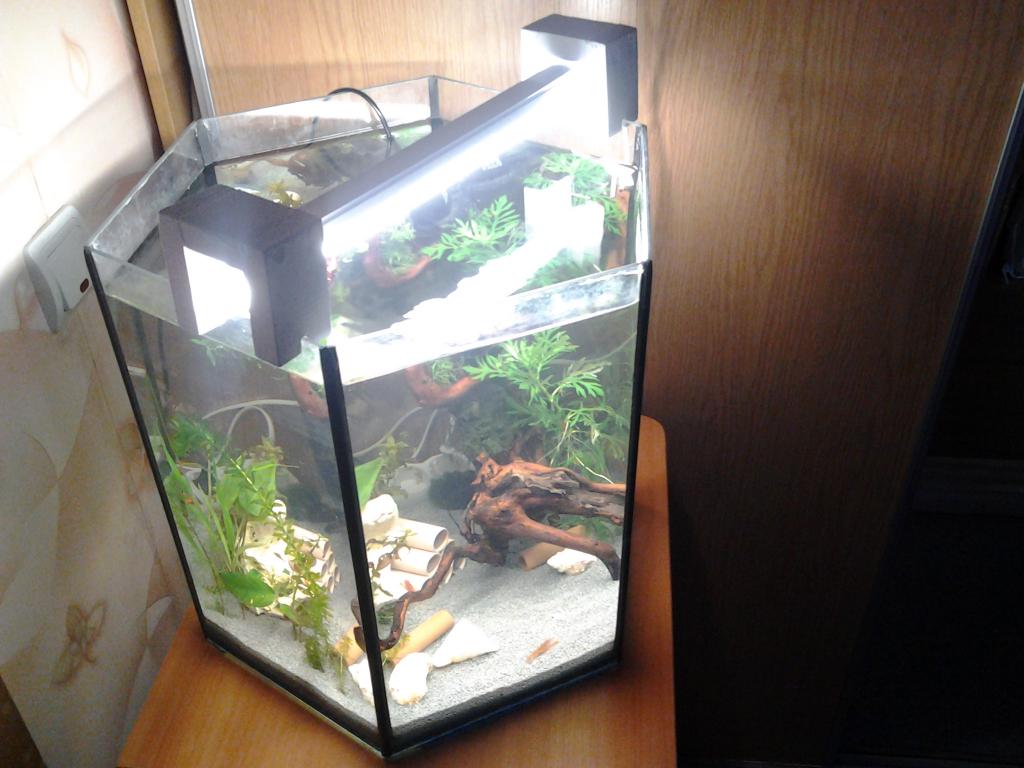 20150421_145751.jpg