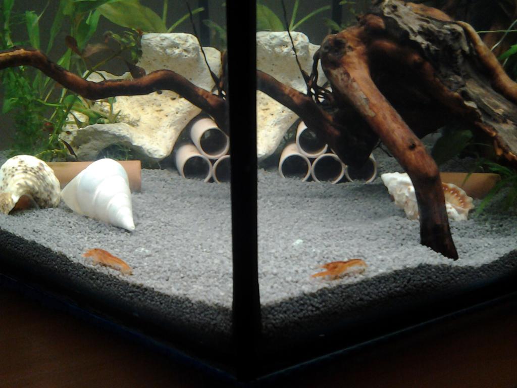 20150421_150429.jpg