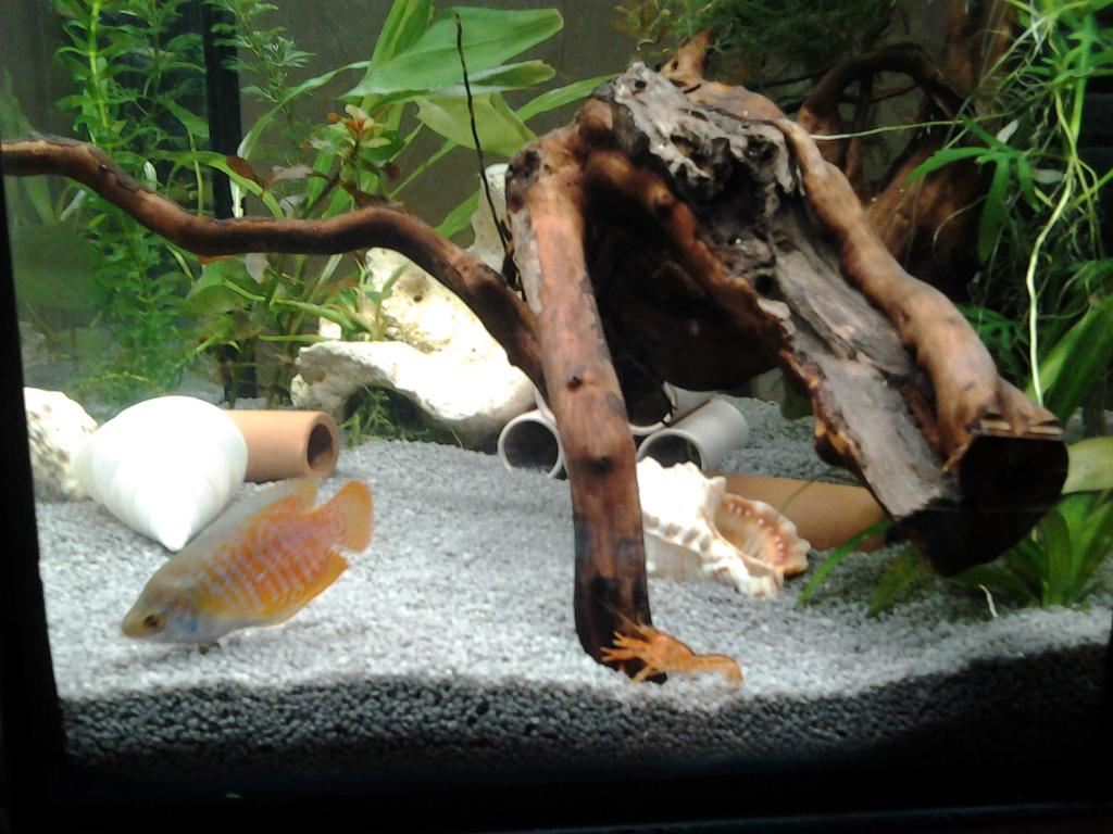 20150423_090424.jpg