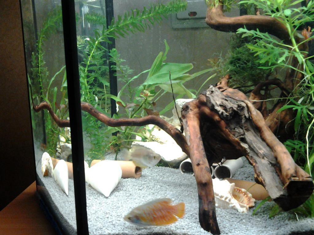 20150423_090522.jpg