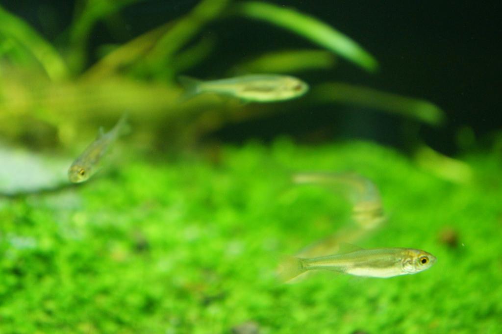 dsc02054.jpg