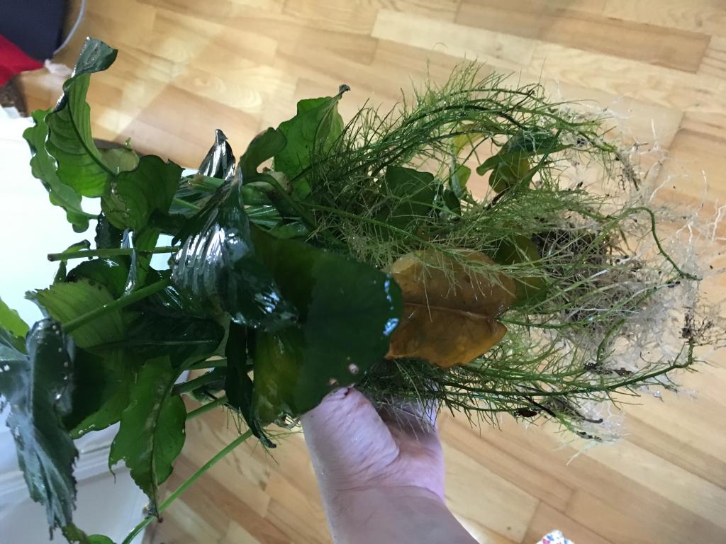 image_18.jpeg