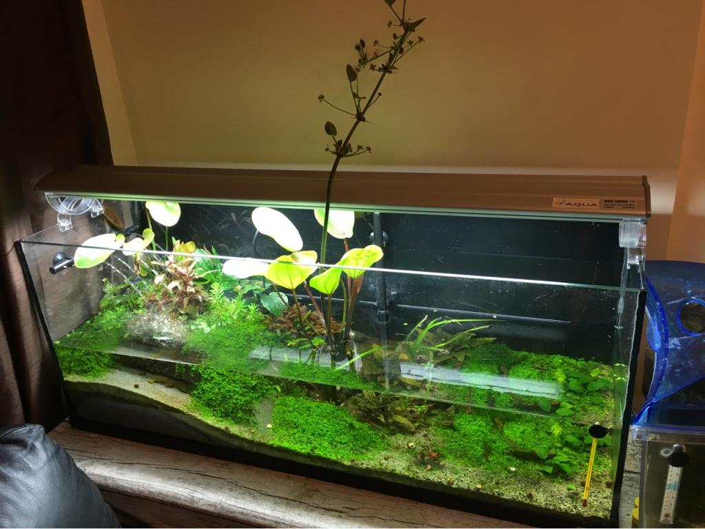 image_24.jpeg
