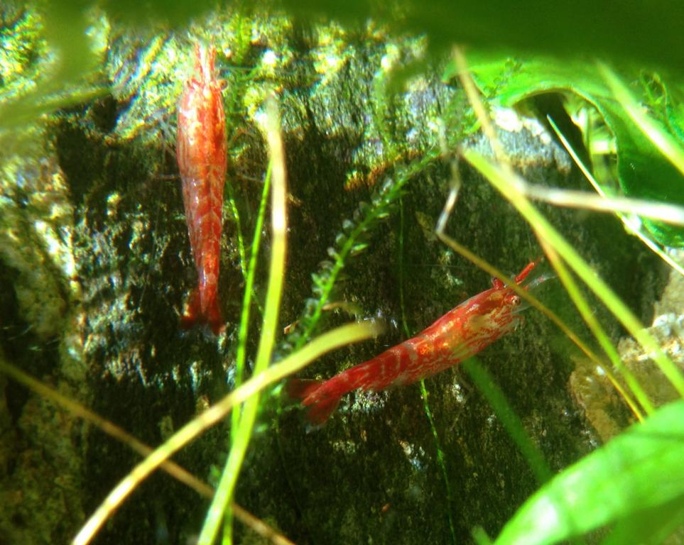 img_7553_crop.jpg