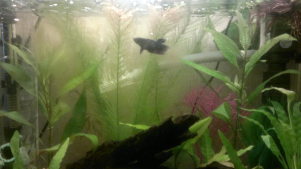 2014-09-08-284.jpg
