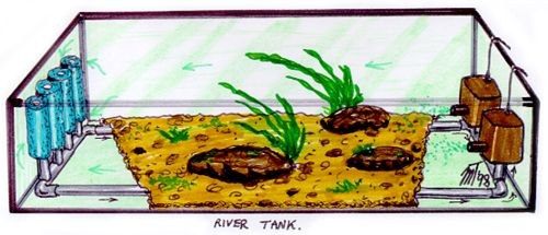 image_medium.jpg