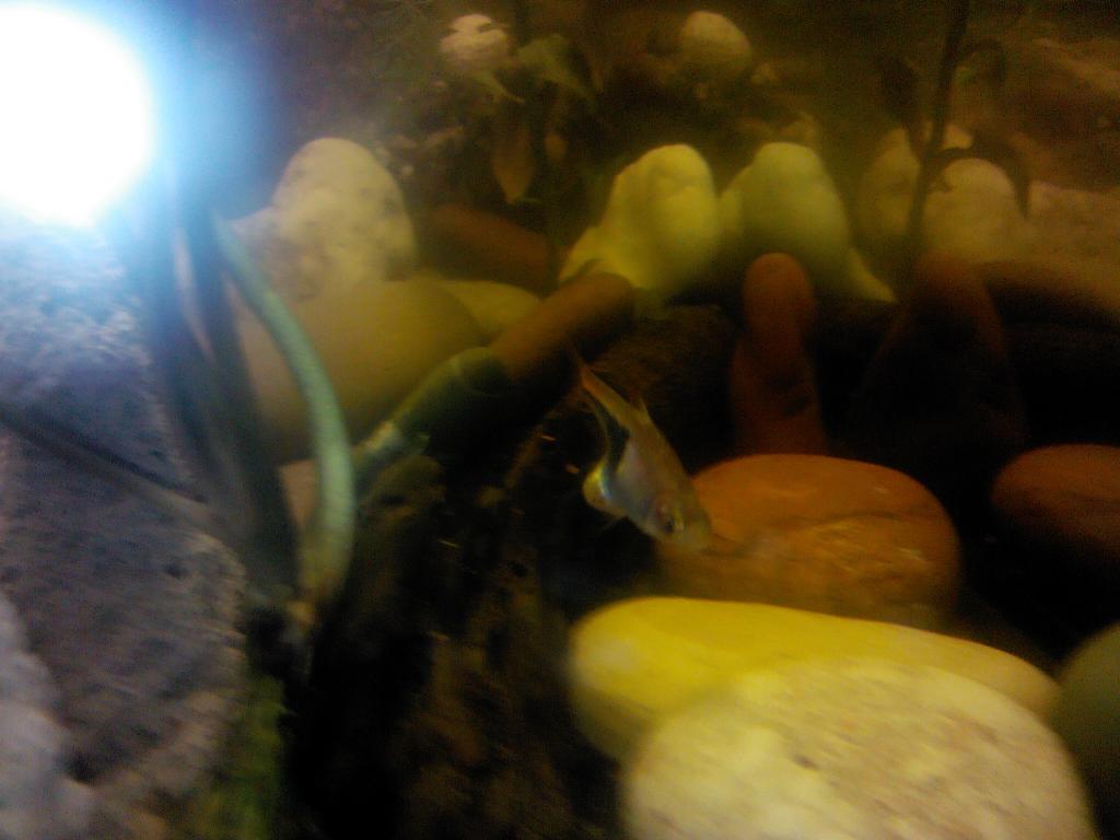img10059.jpg