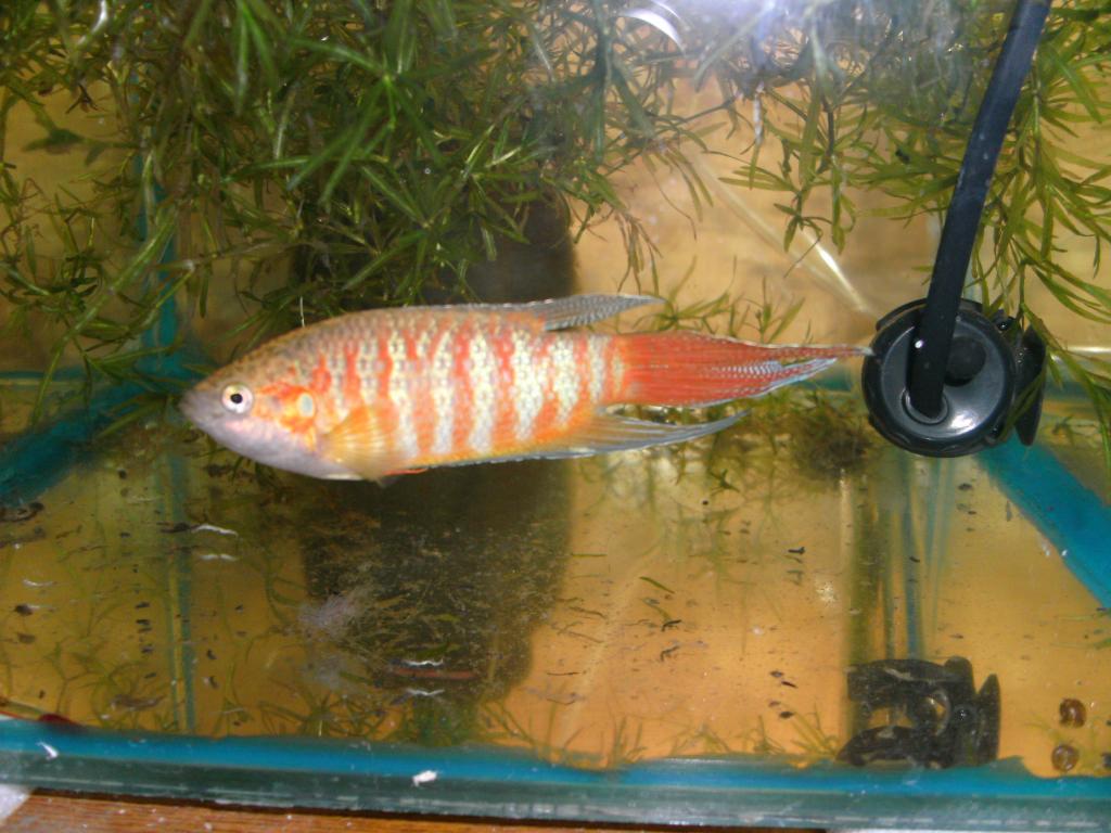 pict2381.jpg