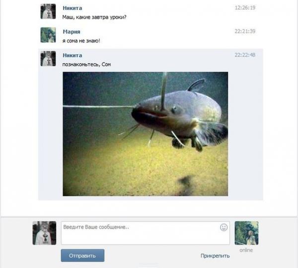 poznakomtes_som.jpeg