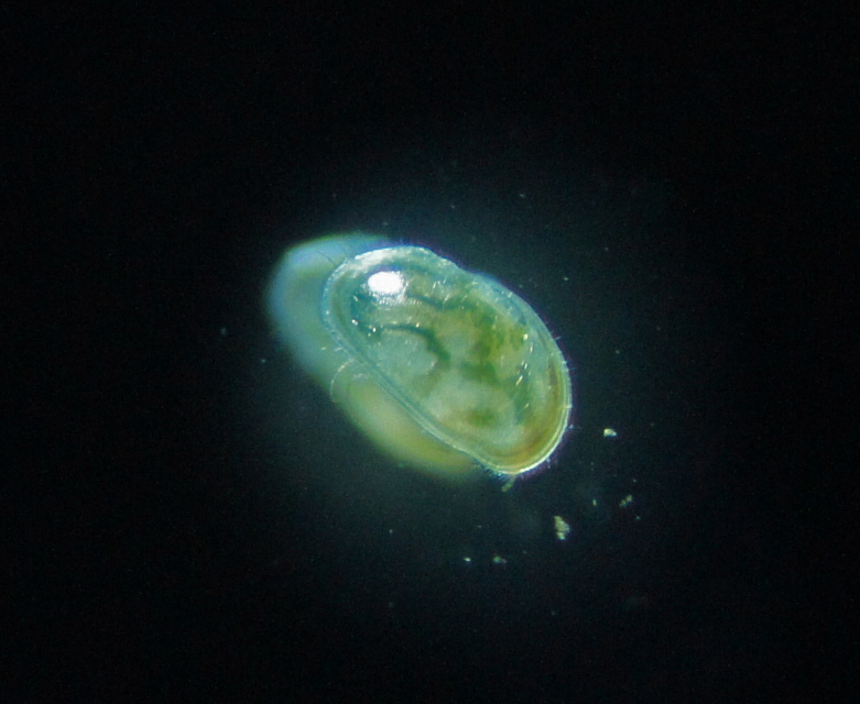 dsc07303.jpg