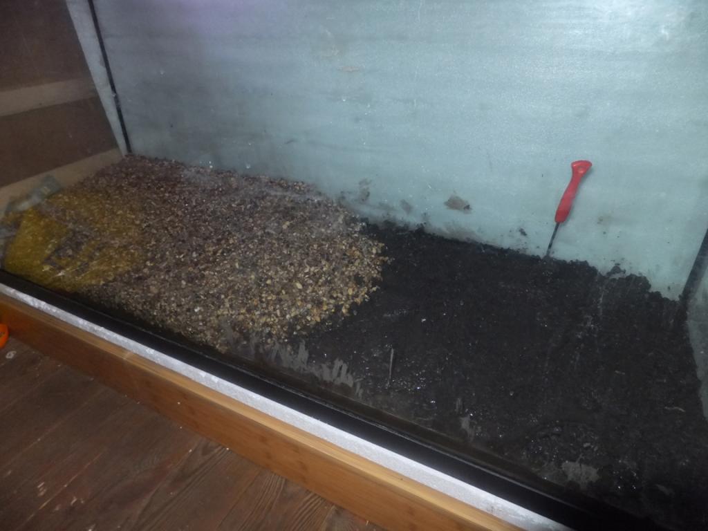 dscf5816.jpg