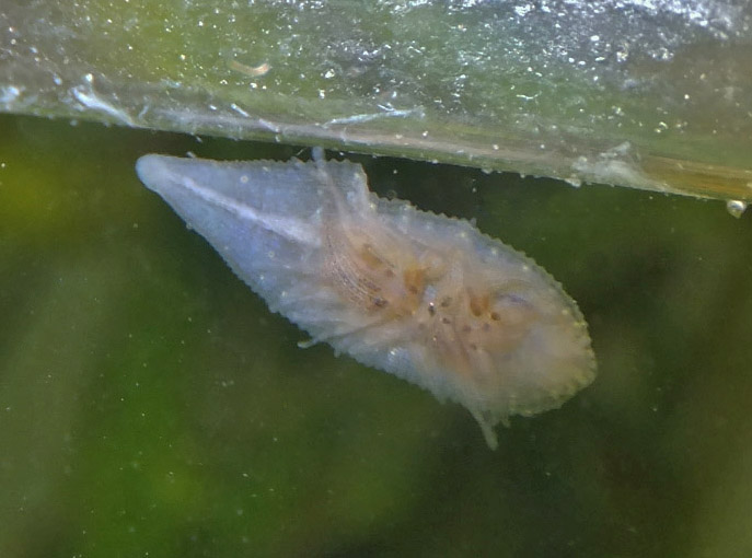dscf5874.jpg