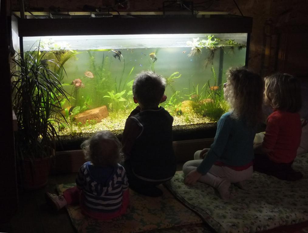 dscf6125.jpg