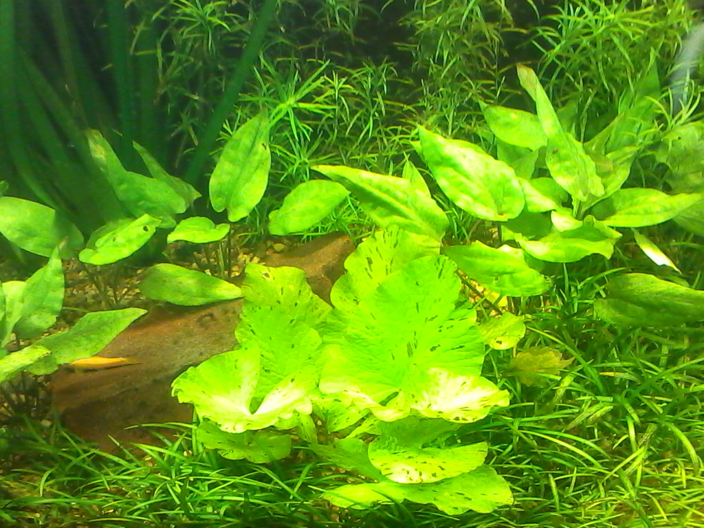 img_20151220_101734.jpg
