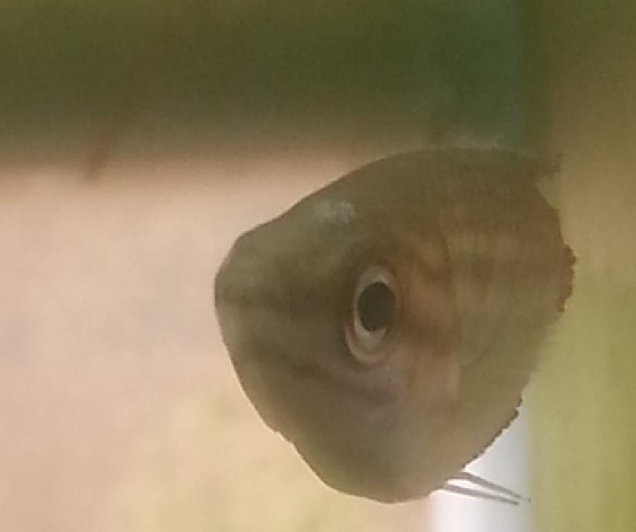 20150329_101851.jpg