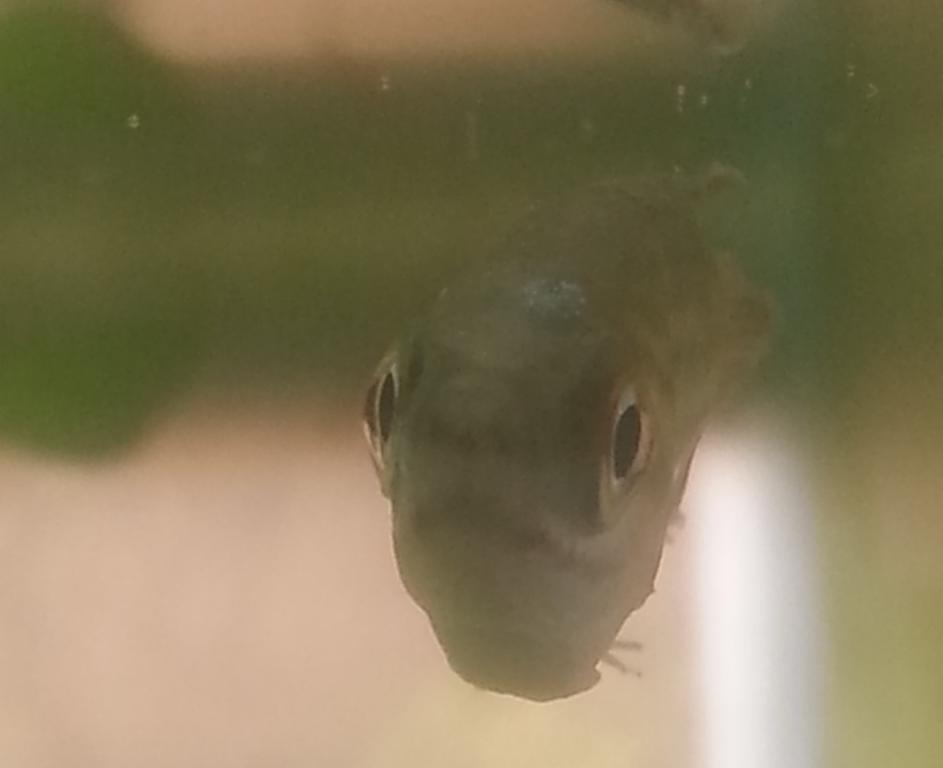20150329_101902.jpg