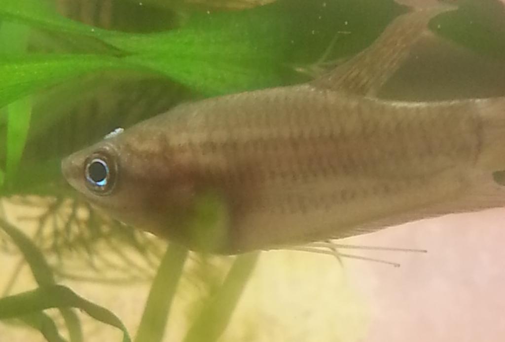 20150329_102052.jpg