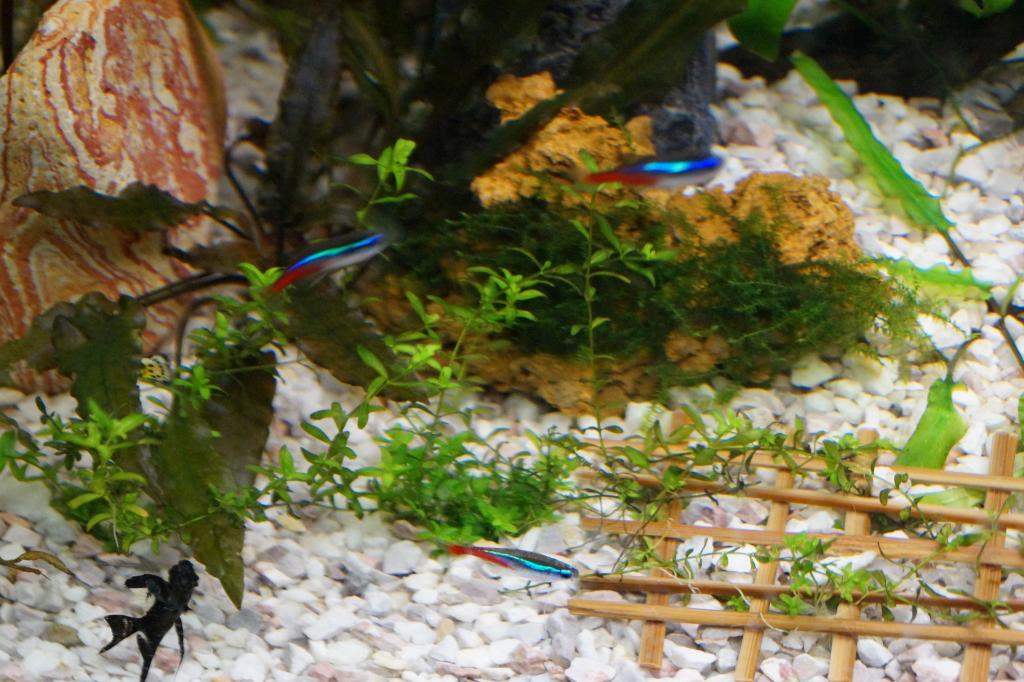 dsc03479.jpg